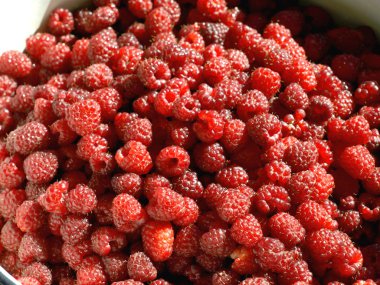 Taze Kırmızı Ahududu