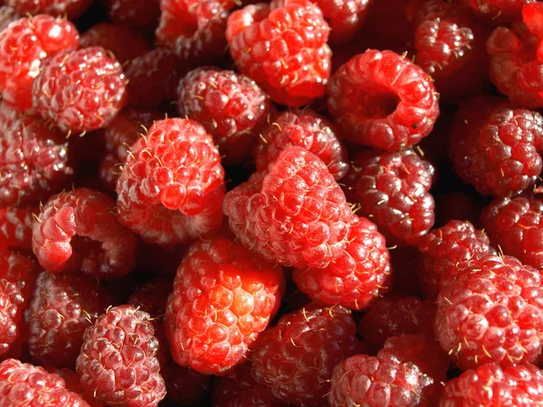 Taze Kırmızı Ahududu