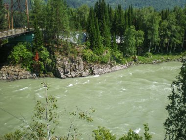 Altai 'de bir dağ nehrinin hızlı akıntısı. Yukarıdan görüntüle.