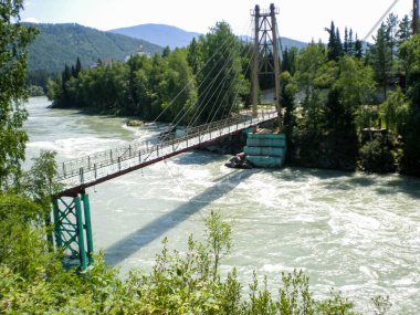 Altai 'de bir dağ nehrinin hızlı akıntısı. Yukarıdan görüntüle.