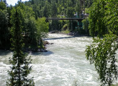 Altai 'de bir dağ nehrinin hızlı akıntısı. Yukarıdan görüntüle.
