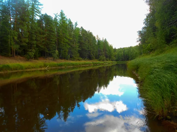 Profiter de la beauté naturelle dans le Grand Nord dans la taïga . — Photo