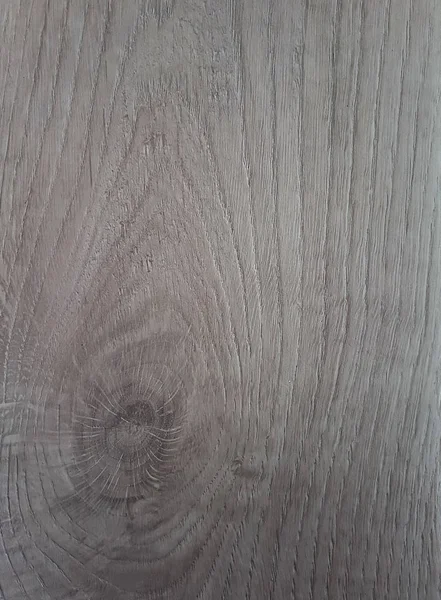 Madera natural procesada, tronco. Textura de madera, fondo . —  Fotos de Stock