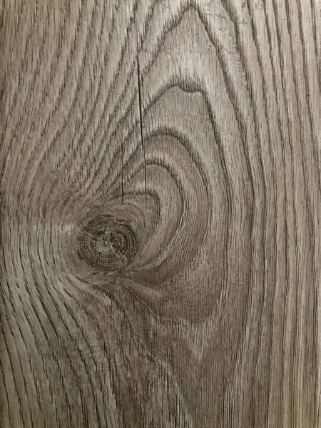 Madera natural procesada, tronco. Textura de madera, fondo . — Foto de Stock