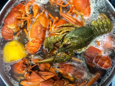 Baharatlı kaynar suda kerevit pişirmek..