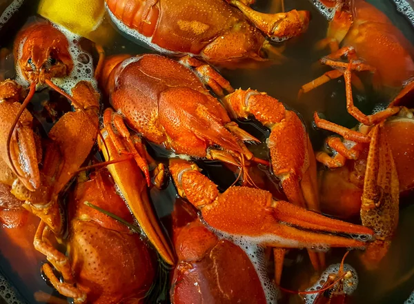 Cocinar cangrejos de río en agua hirviendo con especias . — Foto de Stock