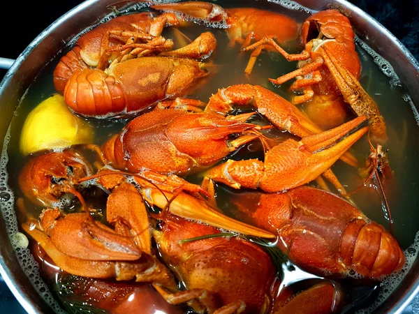 Cocinar cangrejos de río en agua hirviendo con especias . — Foto de Stock