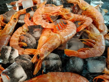 Buzda depolanmış taze langoustines arka planı.