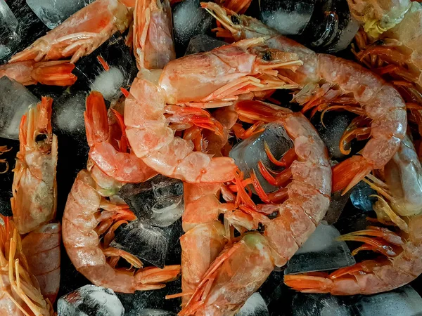 Antecedentes de langoustinas frescas armazenadas em gelo . — Fotografia de Stock