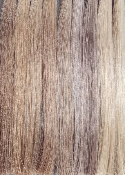 Eine Palette Von Farbtönen Für Blonde Haare Einem Schönheitssalon — Stockfoto