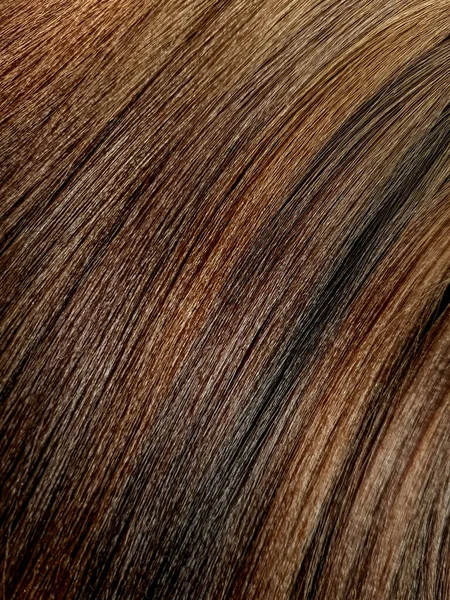 Eine Palette Von Farbtönen Für Brünettes Haar Einem Schönheitssalon — Stockfoto