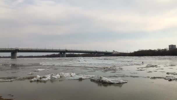 Il movimento del ghiaccio sul fiume in primavera dopo un freddo inverno in Siberia . — Video Stock