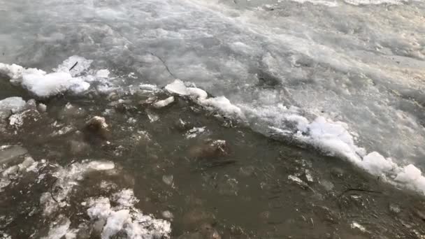 De beweging van ijs op de rivier in het voorjaar na een koude winter in Siberië. — Stockvideo