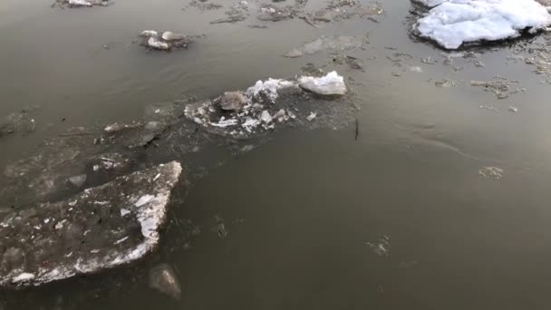 Pohyb ledu na řece na jaře po chladné zimě na Sibiři. — Stock video