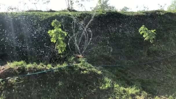 Sistema di irrigazione automatico innaffia l'erba e le piante. 4k rallentatore . — Video Stock
