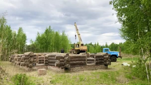 Costruire Una Casa Tronco Gruppo Uomini Installa Una Casa Tronchi — Video Stock