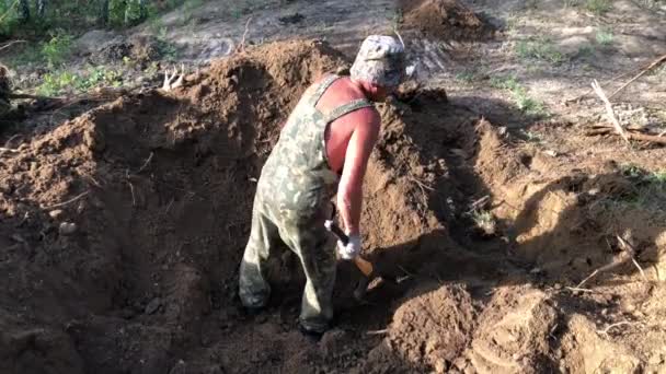 Ένας Άνθρωπος Ξεριζώνει Παλιές Ρίζες Δέντρων Ρωσία Μαΐου 2020 — Αρχείο Βίντεο