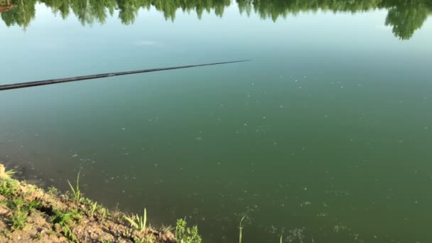 Pesca Com Isca Lago Uma Boa Captura Truta — Vídeo de Stock