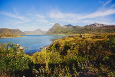 Klasik Norveç İskandinav yaz dağ manzarası görüntülemek dağlar, fiyort, mavi gökyüzü, Norveç, Lofoten Adaları ile göl