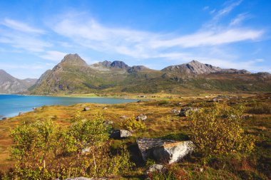 Klasik Norveç İskandinav yaz dağ manzarası görüntülemek dağlar, fiyort, mavi gökyüzü, Norveç, Lofoten Adaları ile göl