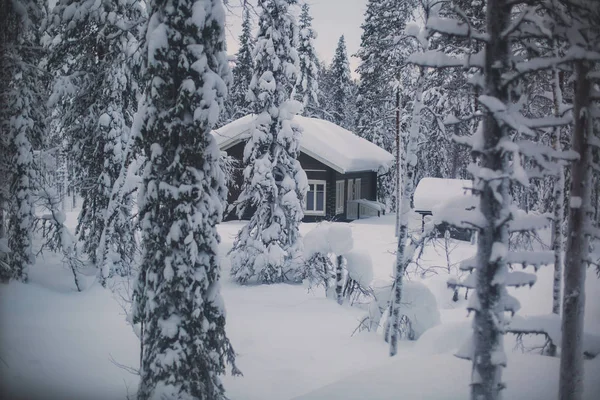 Piękny skandynawskich Fiński Szwedzki norweski drewniany domek domku w pobliżu stoków narciarskich w ośrodku narciarskim w porze nocnej — Zdjęcie stockowe