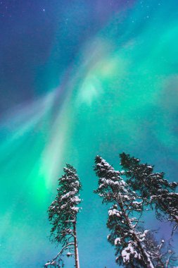 Beautiful picture of massive multicoloured green vibrant Aurora Borealis, Aurora Polaris, also know as Northern Lights in the night sky over winter Lapland landscape, Norway, Scandinavia clipart