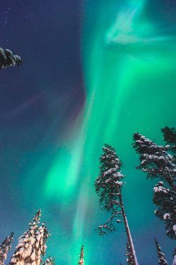 Büyük renkli yeşil güzel resim canlı Aurora Borealis, Aurora Polaris, Ayrıca biliyorum Kuzey ışıkları gece gökyüzünde olarak kış Lapland manzara, Norveç, Scandinavia