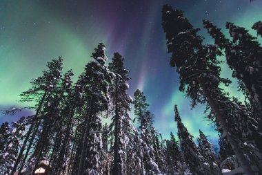 Büyük renkli yeşil güzel resim canlı Aurora Borealis, Aurora Polaris, Ayrıca biliyorum Kuzey ışıkları gece gökyüzünde olarak kış Lapland manzara, Norveç, Scandinavia