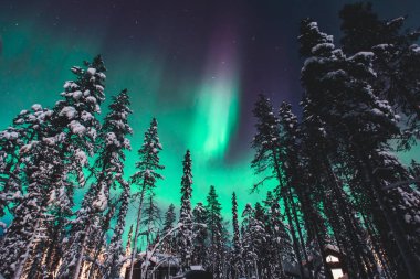 Büyük renkli yeşil güzel resim canlı Aurora Borealis, Aurora Polaris, Ayrıca biliyorum Kuzey ışıkları gece gökyüzünde olarak kış Lapland manzara, Norveç, Scandinavia