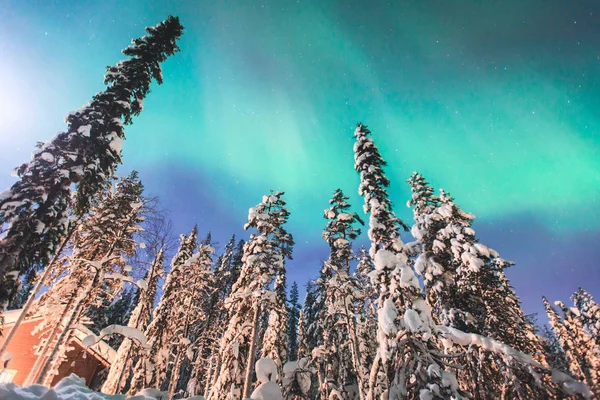 Krásný obraz obrovské pestrobarevné zelené pulzující Aurora Borealis, Aurora Polaris, označovány také jako polární záře na noční obloze nad zimní krajině Laponska, Norsko, Skandinávie — Stock fotografie