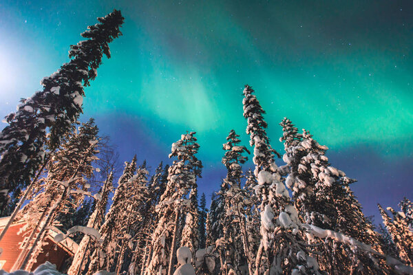 Красивая картина массивных разноцветных зеленых ярких Aurora Borealis, Aurora Polaris, также известный как Северное сияние в ночном небе над зимним пейзажем Лапландии, Норвегия, Скандинавия
