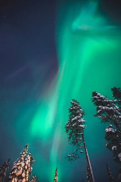 Piękny obraz ogromnej wielokolorowe zielony żywy Aurora Borealis, Aurora Polaris, znany również jako Zorza polarna na nocnym niebie nad zimowych Laponia krajobraz, Norwegia, Skandynawia — Zdjęcie stockowe