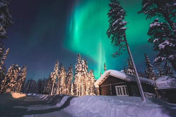 Krásný obraz obrovské pestrobarevné zelené pulzující Aurora Borealis, Aurora Polaris, označovány také jako polární záře na noční obloze nad zimní krajině Laponska, Norsko, Skandinávie — Stock fotografie