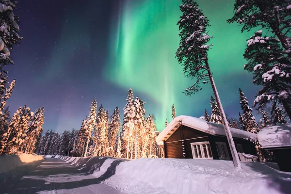 Красивая картина массивных разноцветных зеленых ярких Aurora Borealis, Aurora Polaris, также известный как Северное сияние в ночном небе над зимним пейзажем Лапландии, Норвегия, Скандинавия — стоковое фото