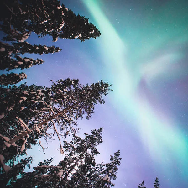 Vacker bild av massiva flerfärgad grön levande norrsken, Aurora Polaris, vet också som norrskenet på natthimlen över vintern Lapplands landskap, Norge, Scandinavia — Stockfoto