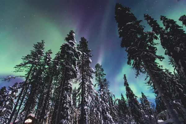 Schönes Bild von massiven bunten grünen lebendigen Polarlichtern, Polarlichtern, auch bekannt als Nordlichter am Nachthimmel über Winterlappland Landschaft, Norwegen, Skandinavien — Stockfoto