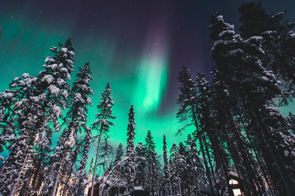 Krásný obraz obrovské pestrobarevné zelené pulzující Aurora Borealis, Aurora Polaris, označovány také jako polární záře na noční obloze nad zimní krajině Laponska, Norsko, Skandinávie — Stock fotografie