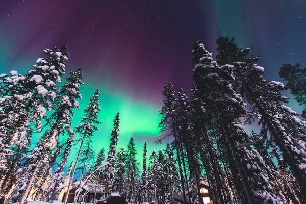 Гарну картинку масивні багатобарвні зелений яскраві Полярне сяйво, Аврора полярної зірки, також відомий як Північне сяйво в нічне небо над зима Лапландії краєвид, Норвегії, в Скандинавії — стокове фото