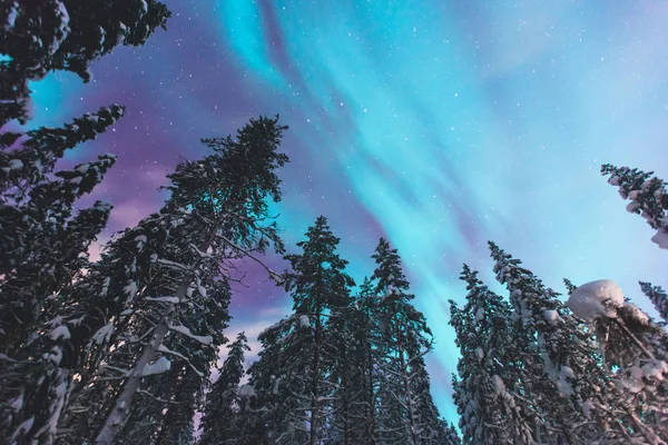 大規模なカラフルな緑の美しい画像鮮やかなオーロラは、オーロラ ポラリスも知っている夜空のオーロラとして冬のラップランドの風景、ノルウェー、スカンジナビアの間 — ストック写真