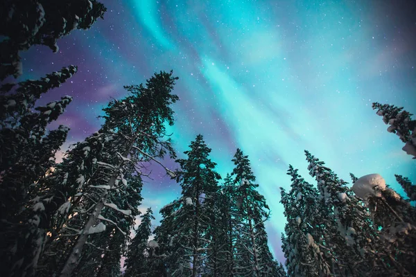 Piękny obraz ogromnej wielokolorowe zielony żywy Aurora Borealis, Aurora Polaris, znany również jako Zorza polarna na nocnym niebie nad zimowych Laponia krajobraz, Norwegia, Skandynawia — Zdjęcie stockowe