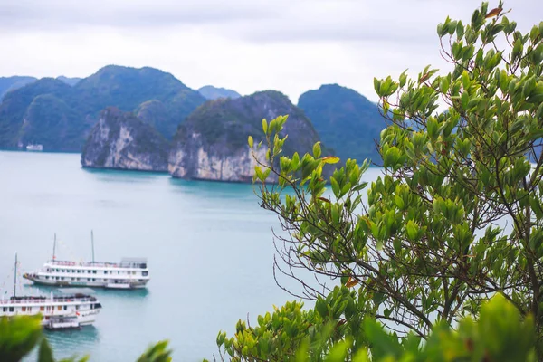 Bela vista da Baía de Halong, Vietnã, Patrimônio Mundial da UNESCO, vista panorâmica das ilhas, Sudeste Asiático — Fotografia de Stock