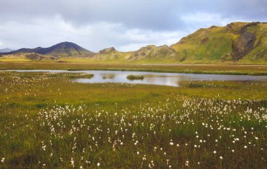 Ünlü İzlandalı popüler turizm ve hiking hub İzlanda'nın dağlık Landmannalaugar renkli dağların görünümü, South Iceland'deki / manzara