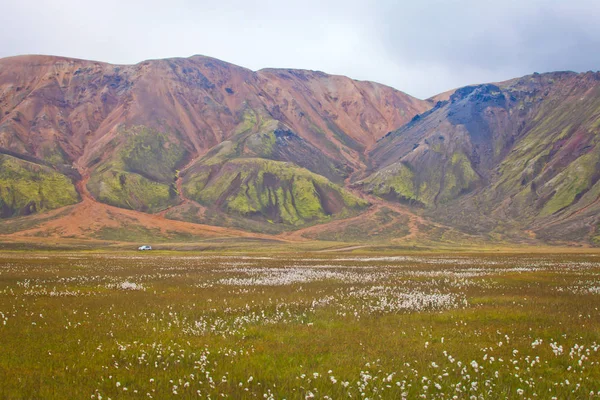 Híres Izlandi népszerű idegenforgalmi célpont, és túrázás Izlandi-felföld Landmannalaugar színes hegyek hub tájkép, South Iceland — Stock Fotó