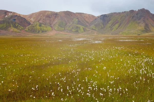 Famoso destino turístico popular icelandés y centro de senderismo en las tierras altas de Islandia Landmannalaugar coloridas montañas vista del paisaje, Islandia del Sur — Foto de Stock