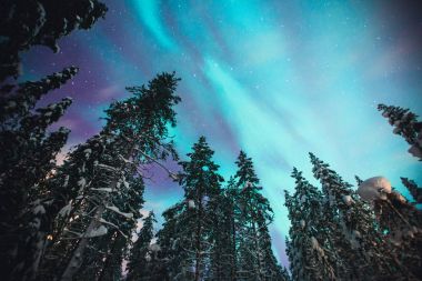 Beautiful picture of massive multicoloured green vibrant Aurora Borealis, Aurora Polaris, also know as Northern Lights in the night sky over winter Lapland, Norway, Scandinavia clipart