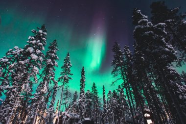 Büyük alacalı güzel resmini yeşil canlı Aurora Borealis, Aurora Polaris, Ayrıca biliyorum Kuzey ışıkları gece gökyüzünde olarak kış Lapland, Norveç, Scandinavia