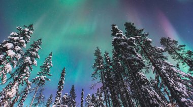 Büyük alacalı güzel resmini yeşil canlı Aurora Borealis, Aurora Polaris, Ayrıca biliyorum Kuzey ışıkları gece gökyüzünde olarak kış Lapland, Norveç, Scandinavia