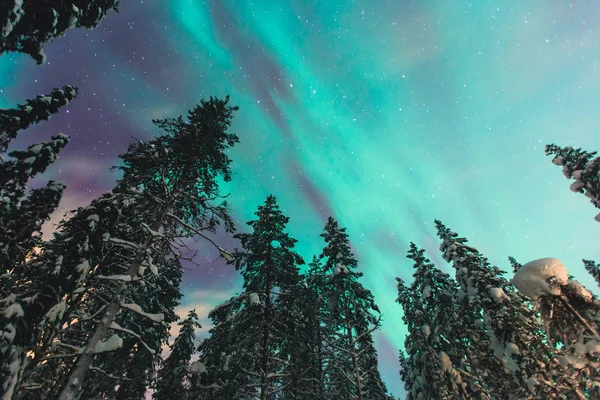 大規模な多色の美しい絵緑鮮やかなオーロラ オーロラ ポラリスも知っている夜空のオーロラとして冬のラップランド、ノルウェー、スカンジナビア経由 — ストック写真