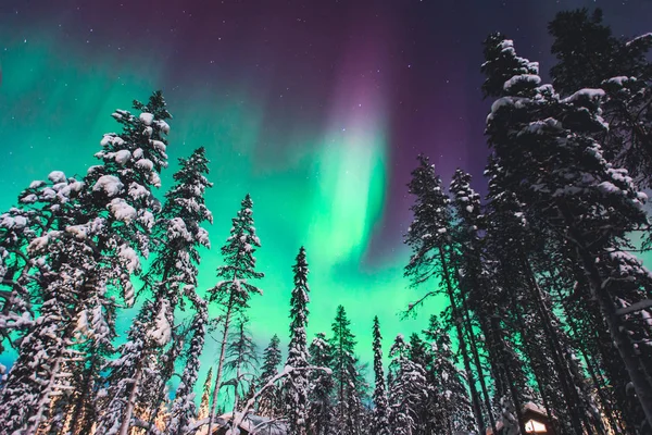 美丽的图画，大量五颜六色的绿色充满活力北极光，极光，也知道作为北极光在夜空中冬季拉普兰，挪威斯堪的纳维亚 — 图库照片