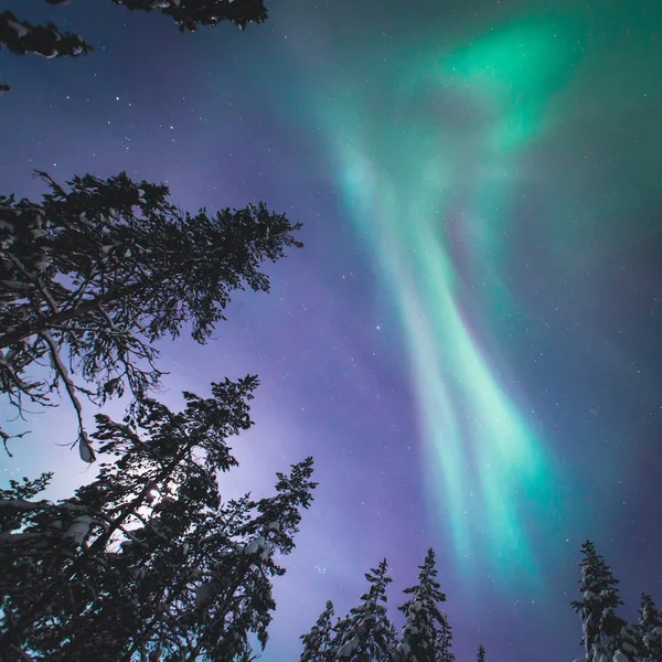 Belle image de vert multicolore massif vibrant Aurora Borealis, Aurora Polaris, également connu sous le nom aurores boréales dans le ciel nocturne pendant l'hiver Laponie, Norvège, Scandinavie — Photo